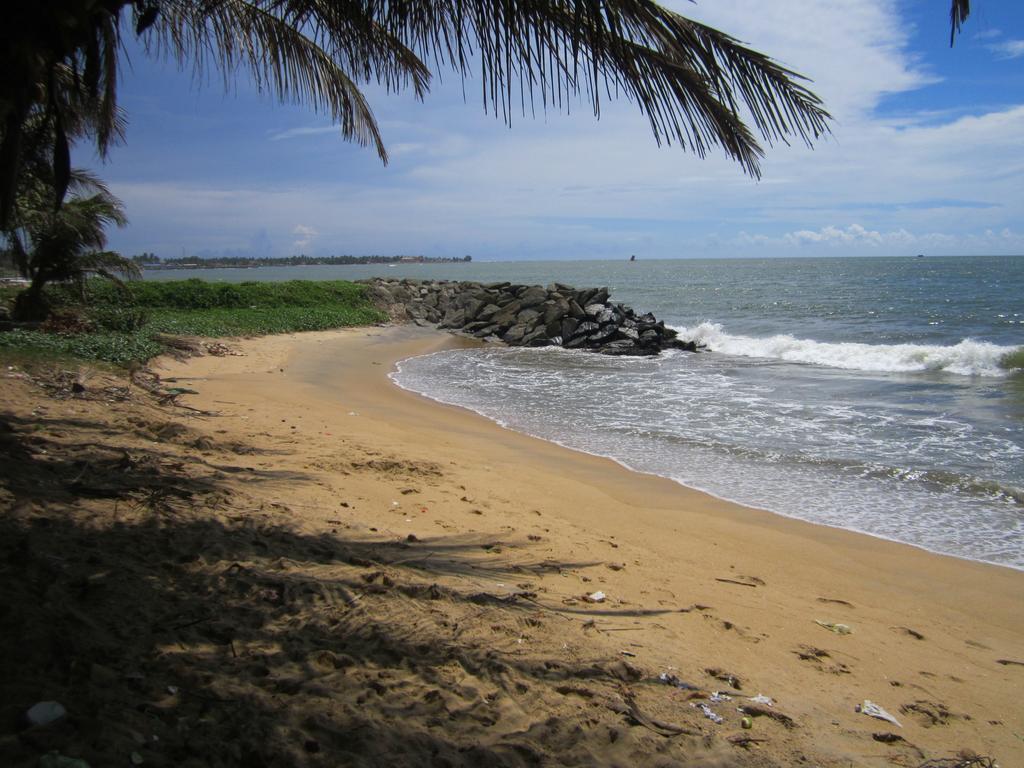 Anicia Beach House Negombo Exterior photo